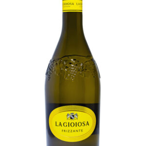 La Gioiosa - Bianco Vino Frizzante - Weißer Schaumwein aus Italien (1 x 0.75 l)